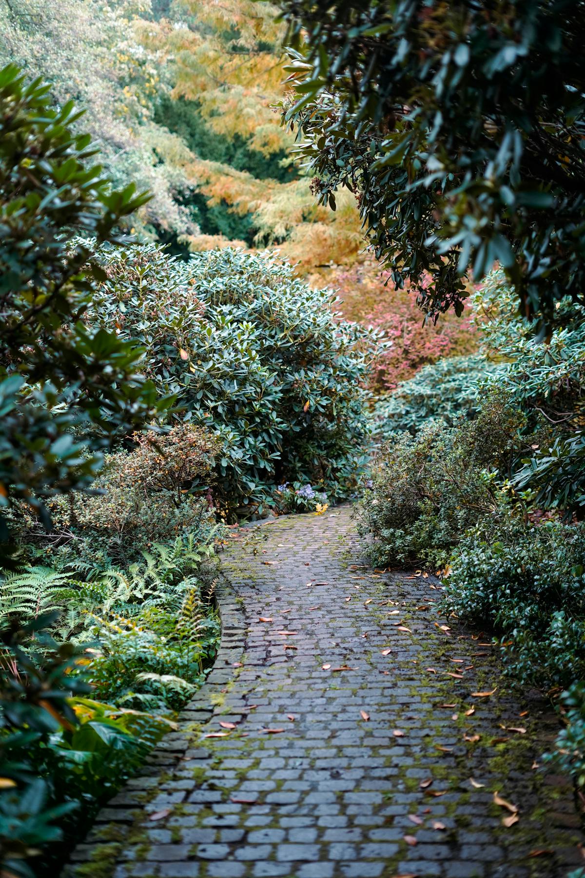 Allée paysagère dans un jardin à Nice