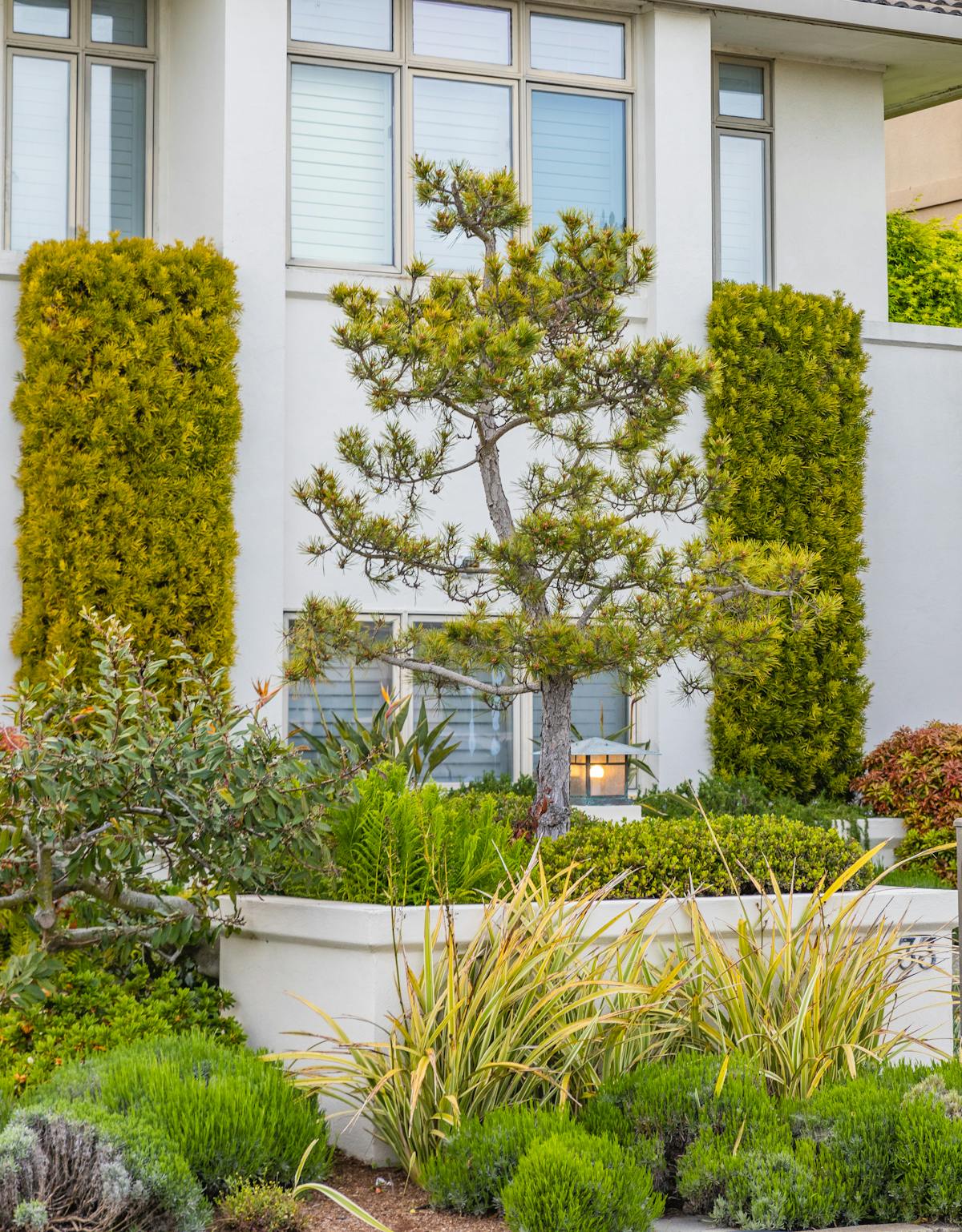 Jardin paysager moderne à Nice avec végétation luxuriante